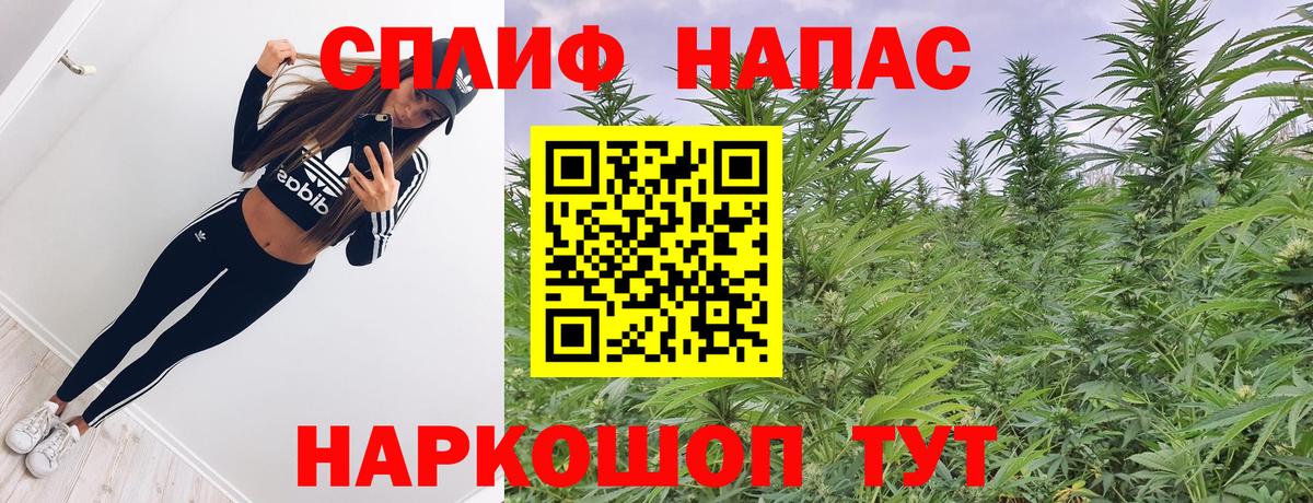 Канабис Ganja Балтийск